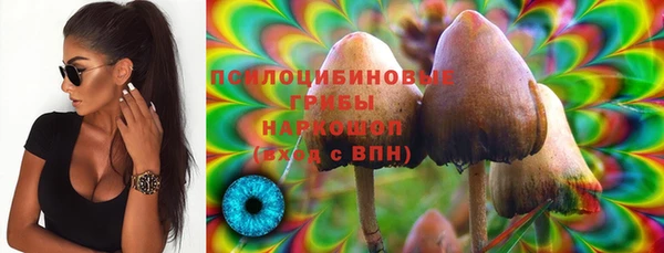 PSILOCYBIN Протвино