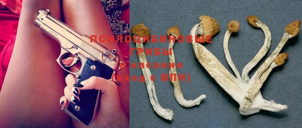PSILOCYBIN Протвино